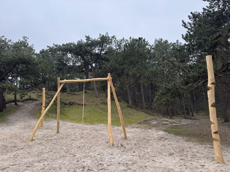 Playing in the Hollumer forest - VVV Ameland