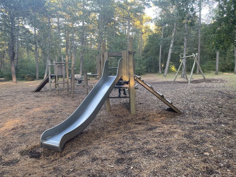 Playing in the Hollumer forest - VVV Ameland