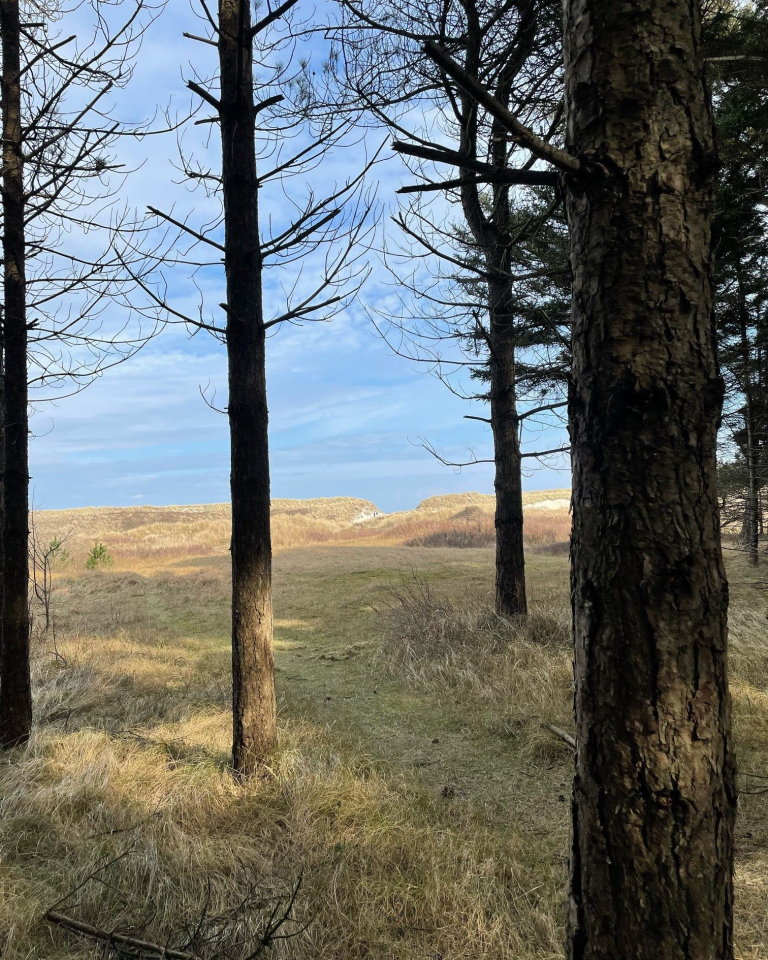 Autumn holiday on Ameland - VVV Ameland