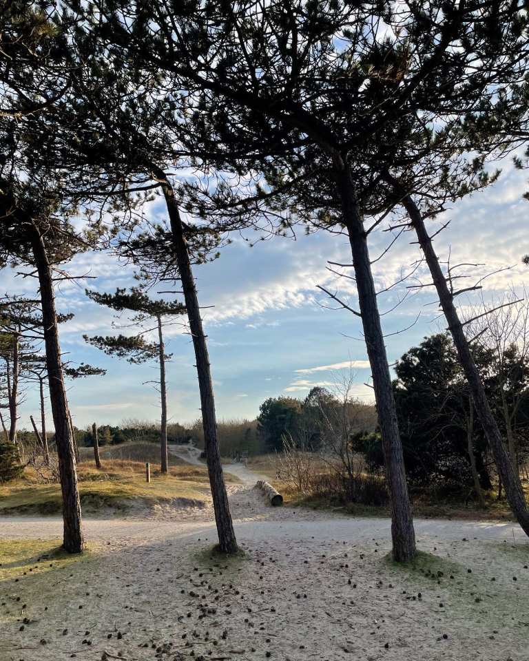 Time for outdoors, Ameland in the autumn - VVV Ameland