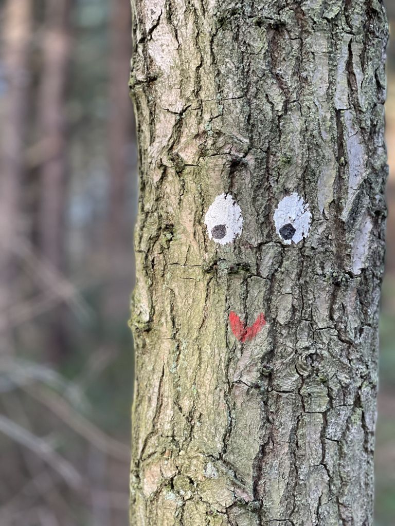 Krûmeltjesspoor - walking trail for kids - Tourist Information “VVV” Ameland