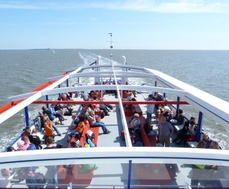 Sundeck - Boat excursion company Zeehond - Tourist Information 