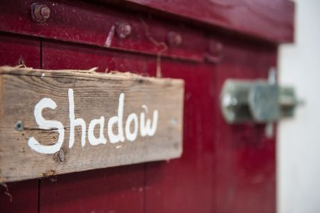 Filmset Penny´s Shadow - Tourist information 