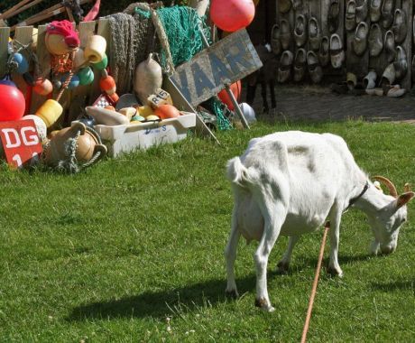 Agriculture-Beachcomber museum Swartwoude - Tourist Information “VVV” Ameland