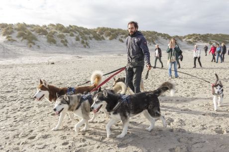 Hiking event Tussen Slik en Zand - Tourist Information 