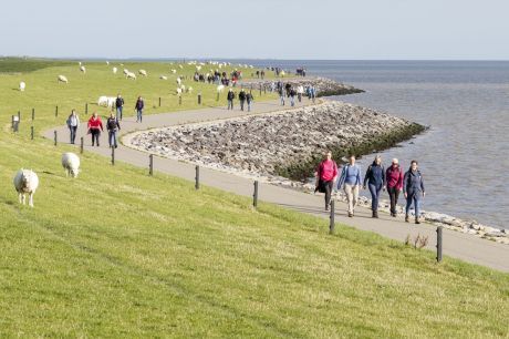 Hiking event Tussen Slik en Zand - Tourist Information 