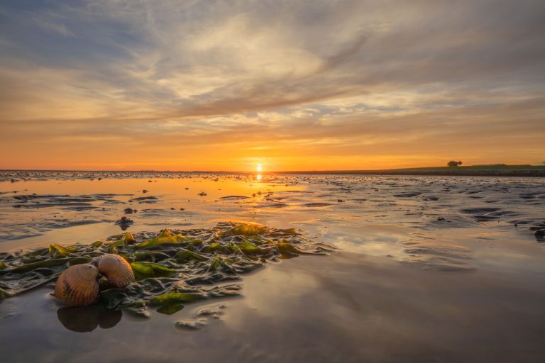 Discover the most beautiful sunsets on Ameland - VVV Ameland