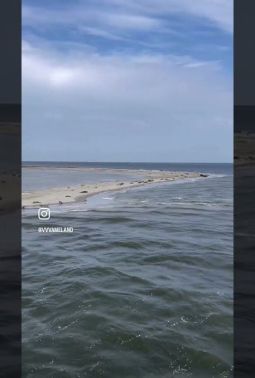 Zeehonden spotten op Ameland⛴️