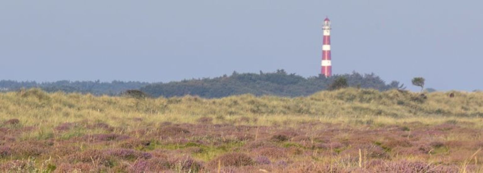 Frequently asked questions about public services - Tourist Information Centre VVV Ameland.