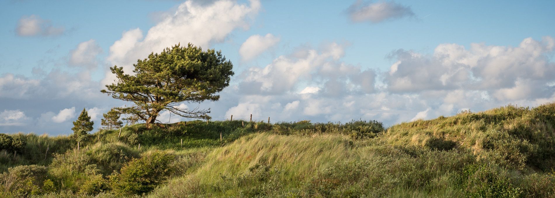 Vakantiepark op Ameland - Tourist Information