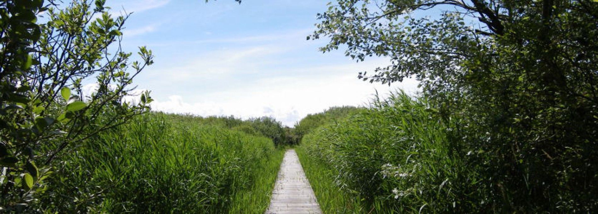 Hiking trails and maps - Tourist Information “VVV” Ameland