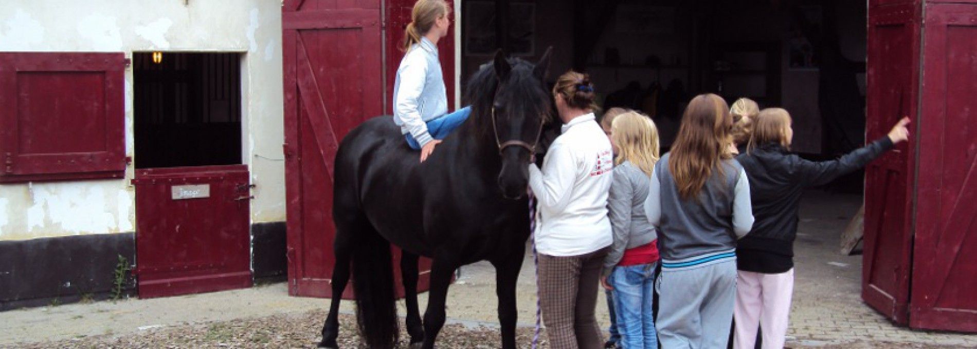 De Lange Dunen on Ameland