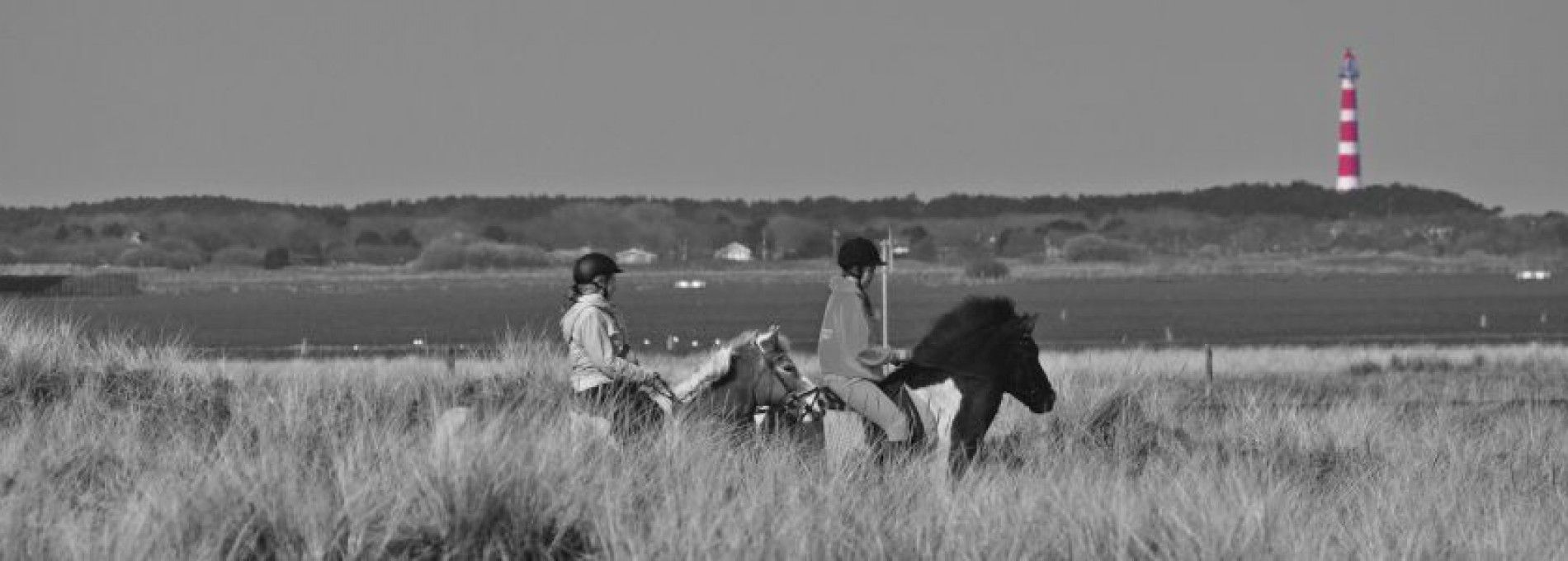 Riding stable Le Cheval on Ameland