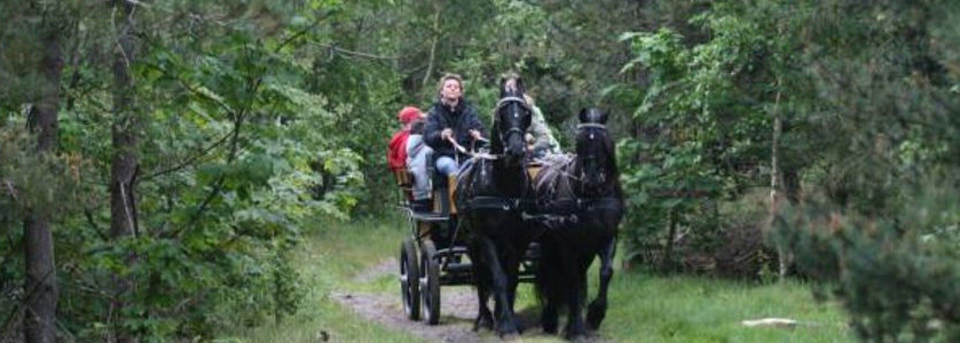 Stable van Buren - rental groups rides on Ameland