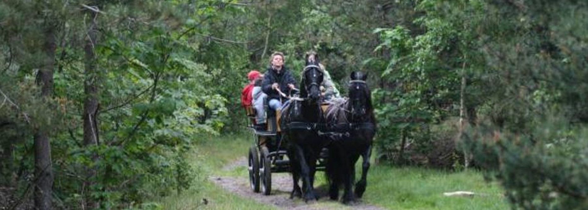 Stable van Buren - rental groups rides - Tourist Information