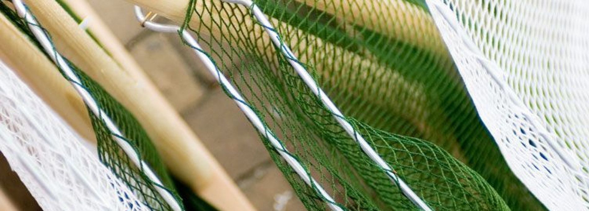 Fishing on Ameland - Tourist Information