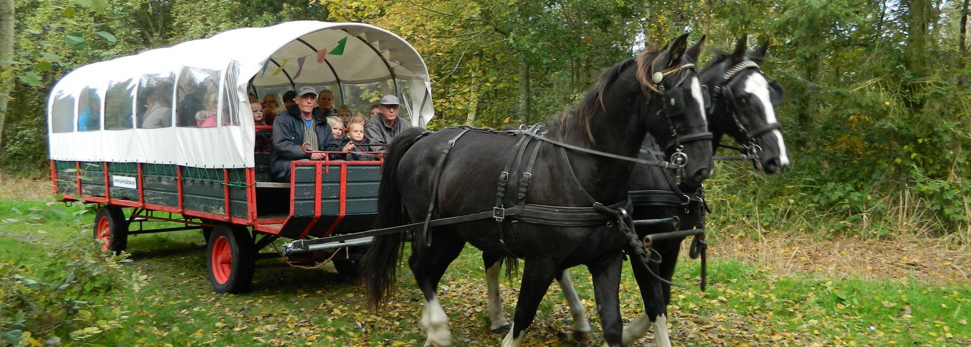 Covered wagon and horse and carriage roundtrips - Tourist information Centre 