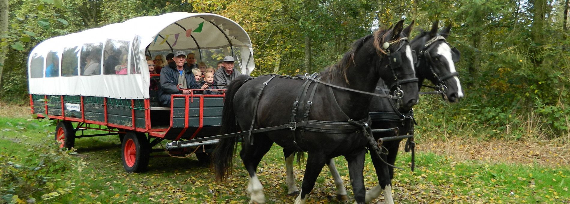 Covered wagon and horse and carriage roundtrips - Tourist information Centre