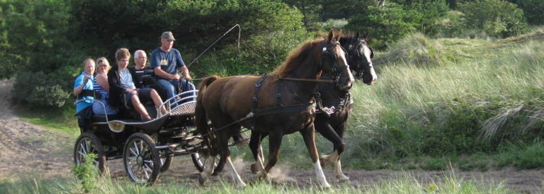 Recreational rides Fam. de Boer Ameland