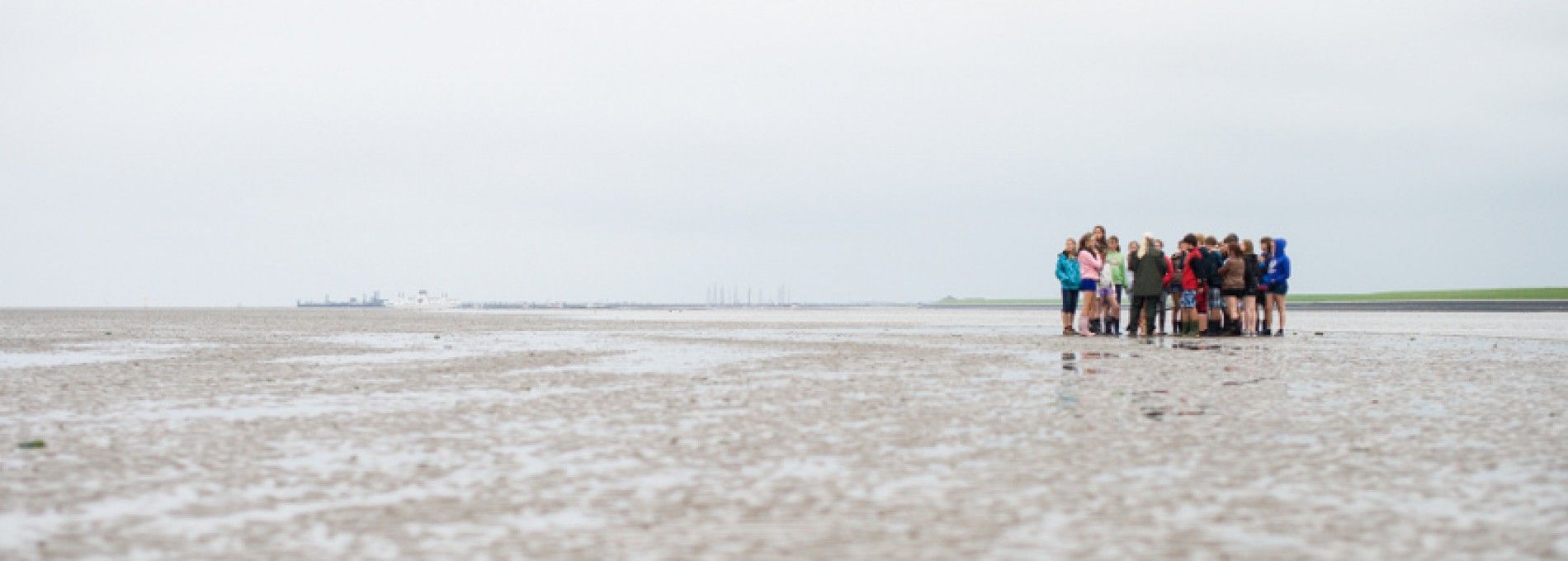 Mudflat excursion Ameland