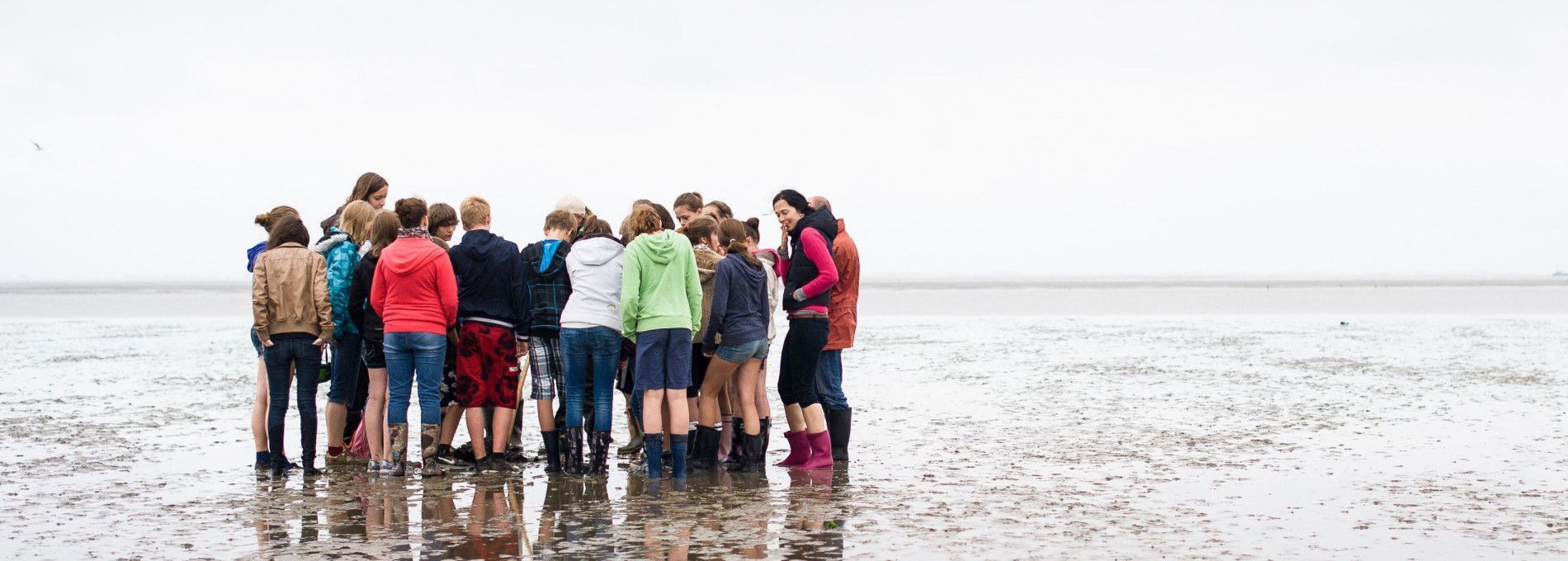 Mudflat excursion - Tourist Information