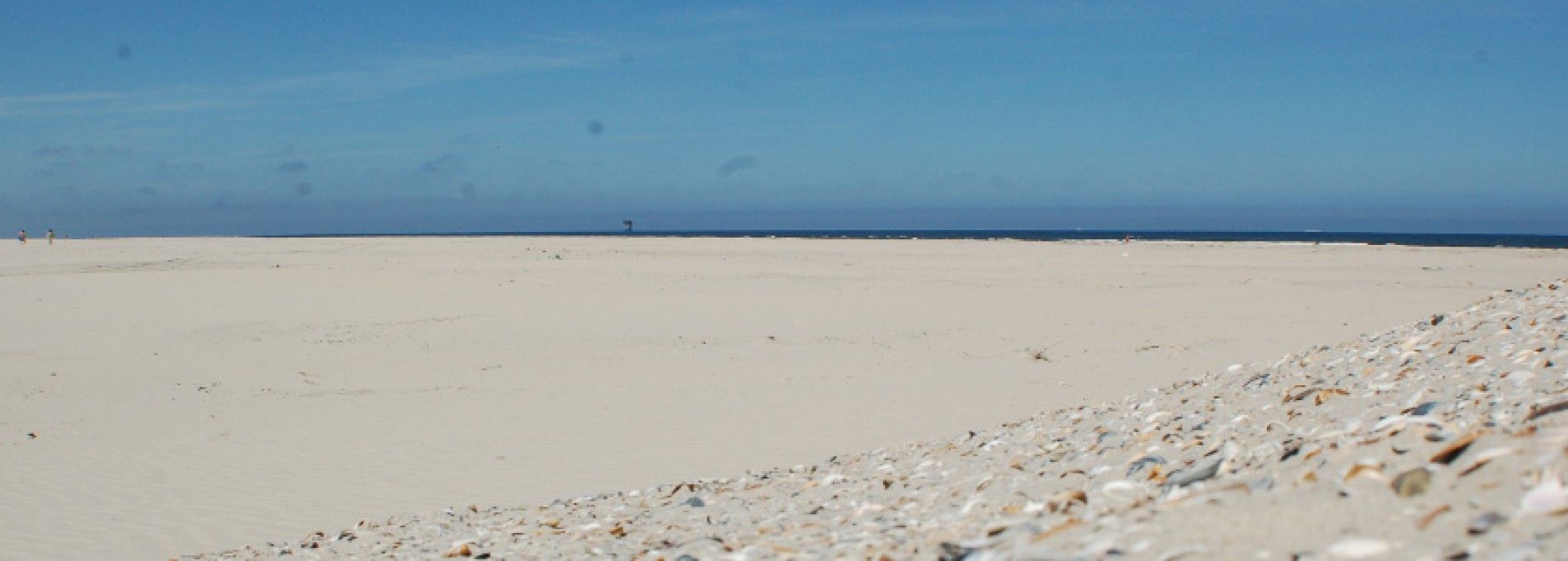 Beach and shell excursion Ameland