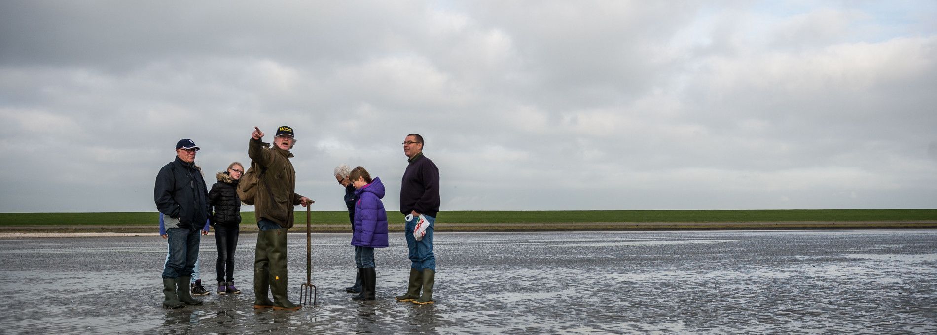 Wijnberg Mudflat excursions - Tourist Information