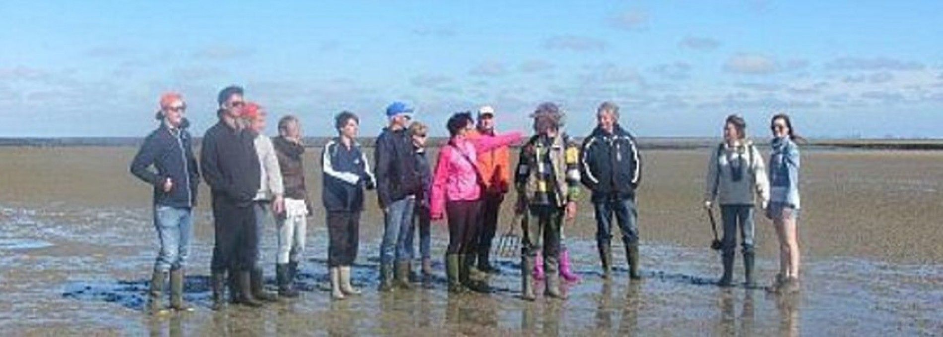 Wijnberg Mudflat excursions Ameland