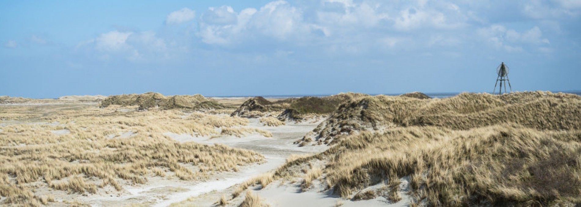 Disclaimer VVV Ameland