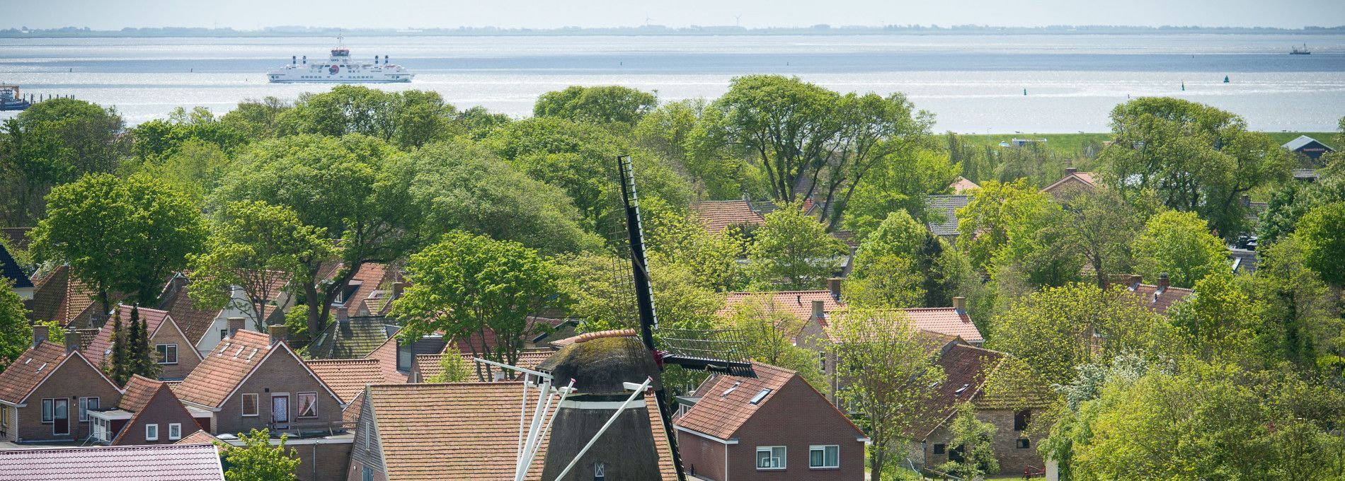 Holiday homes Nes 5-6 persons - VVV Ameland