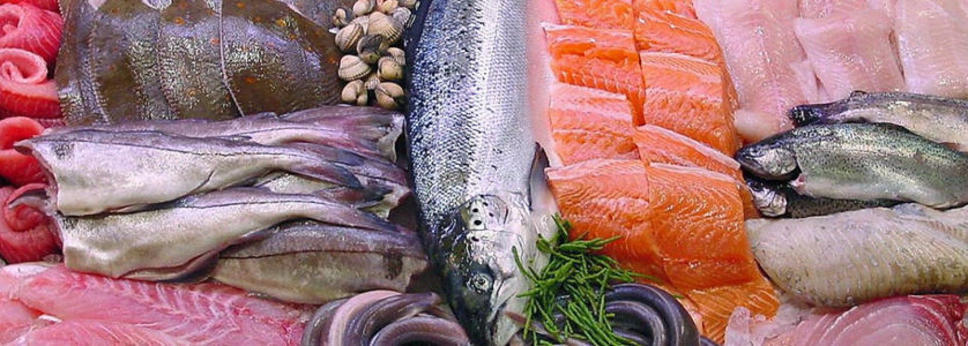 Fish shop Metz - Nes Ameland