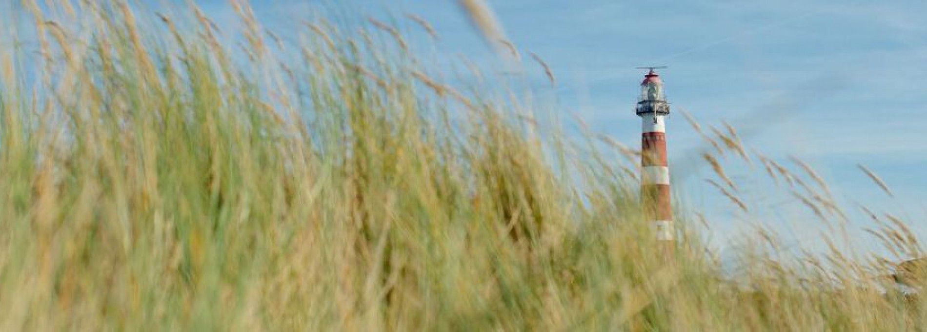 Ameland products