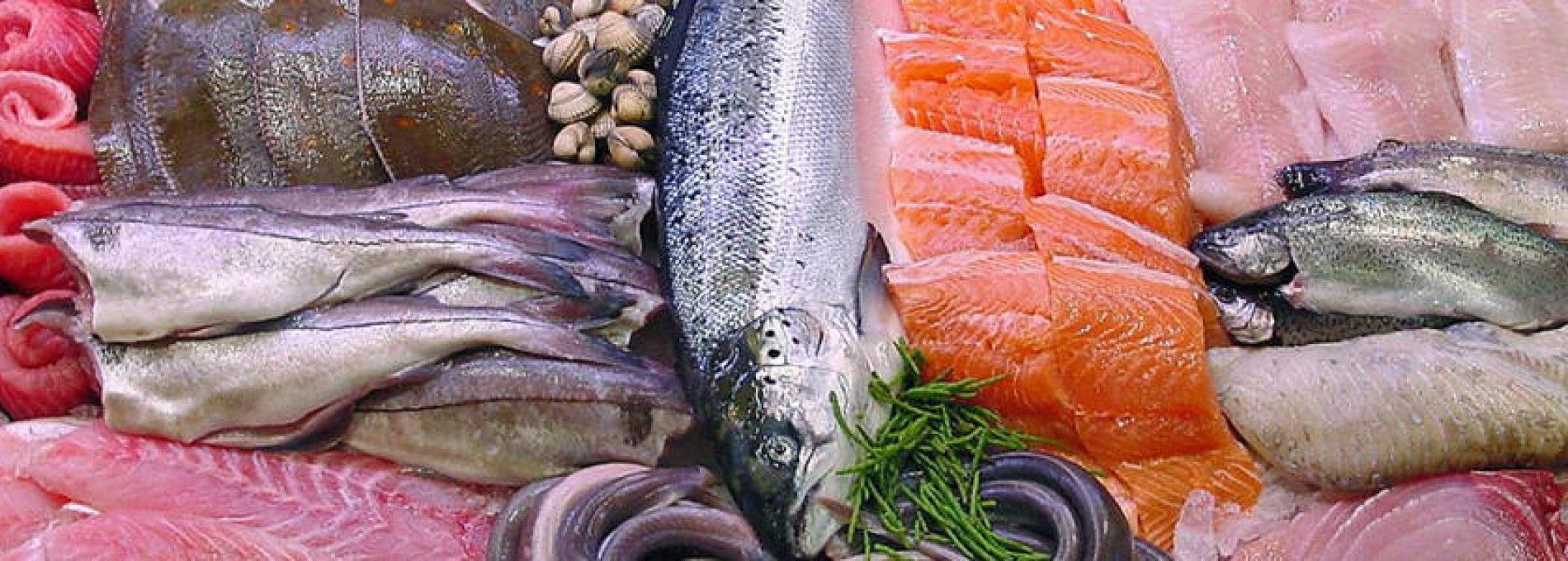 Fish shop Metz, Nes - Tourist Information “VVV”Ameland