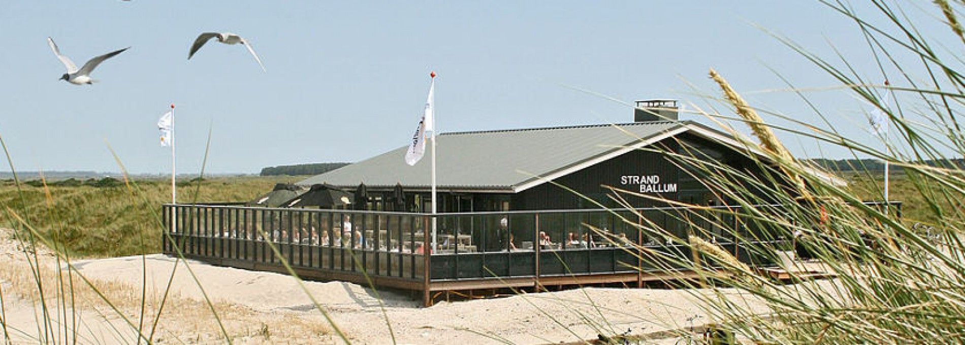 Beach pavilion Ballum - Tourist Information “VVV”Ameland