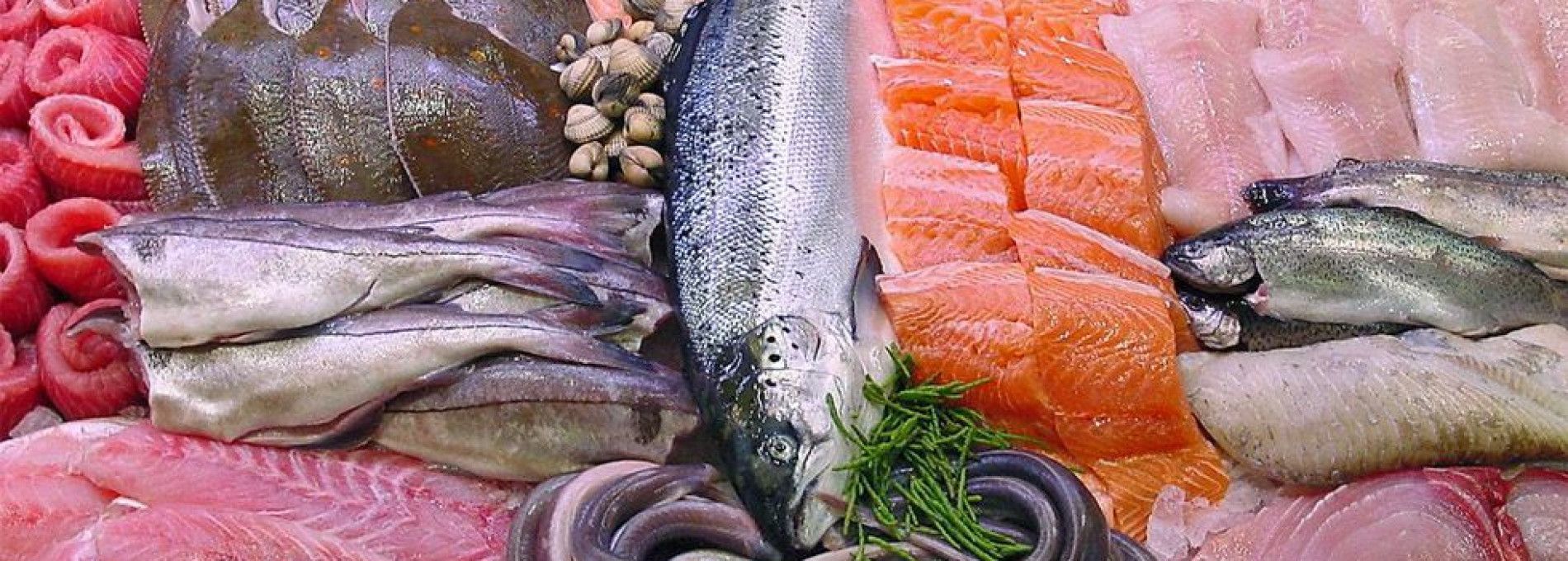 Fish shop Metz, Nes - Tourist Information “VVV” Ameland