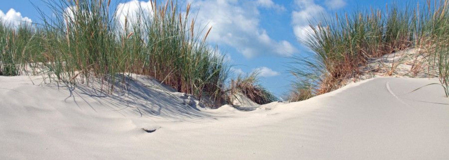 Origins of Ameland
