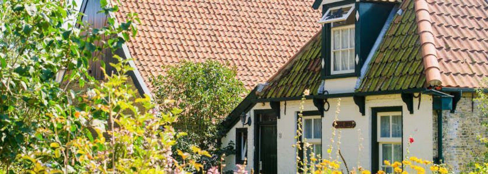 Home health care het Friese Land Ameland