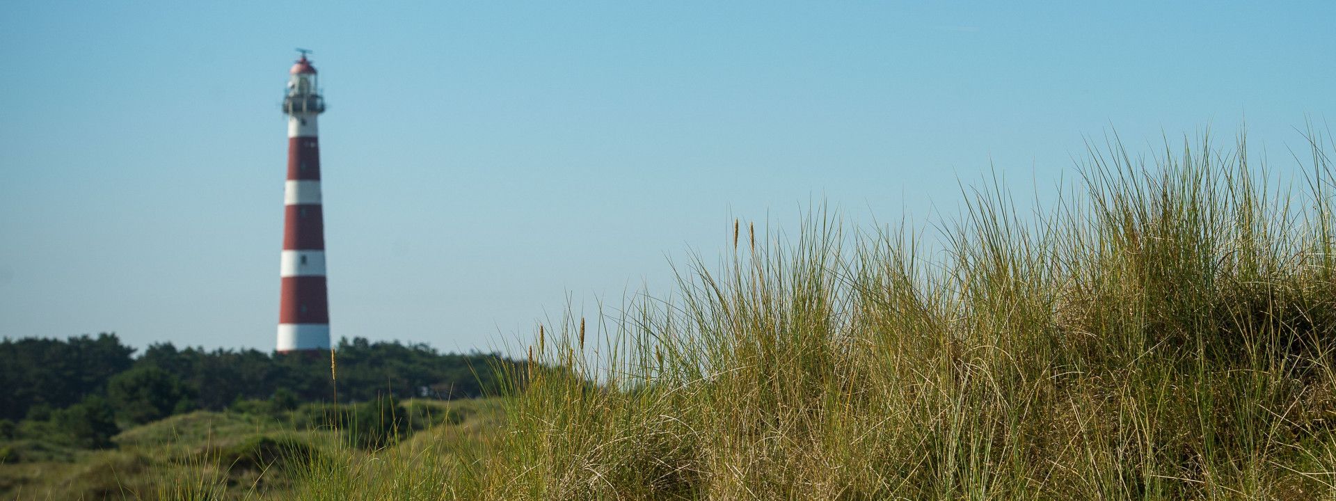 VVV Ameland