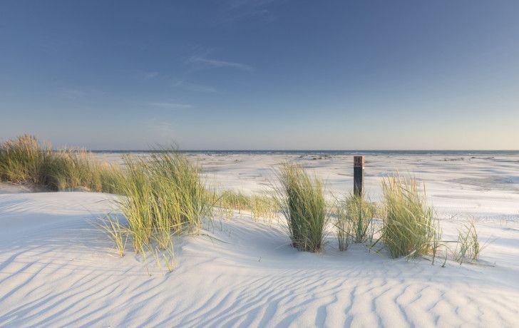 Ameland and Corona - Tourist Information Centre “VVV” Ameland
