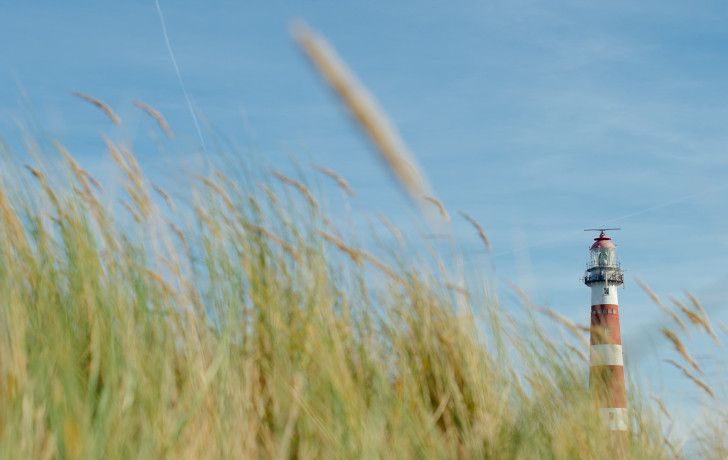 Day package - Tourist Information Centre “VVV” Ameland