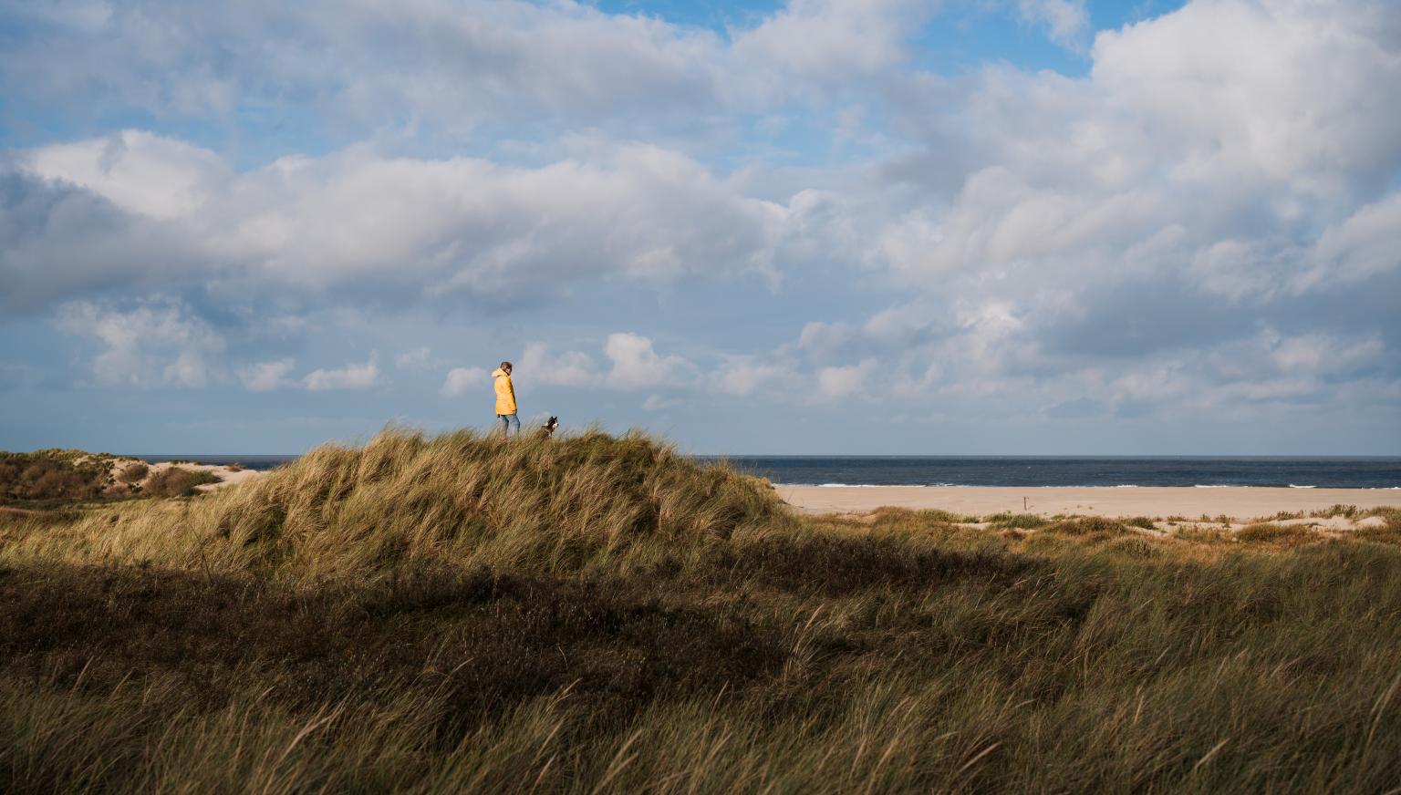 The Four Seasons on Ameland - VVV Ameland