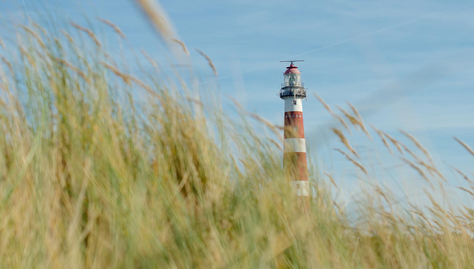 Routes and scavenger hunt - Tourist Information 