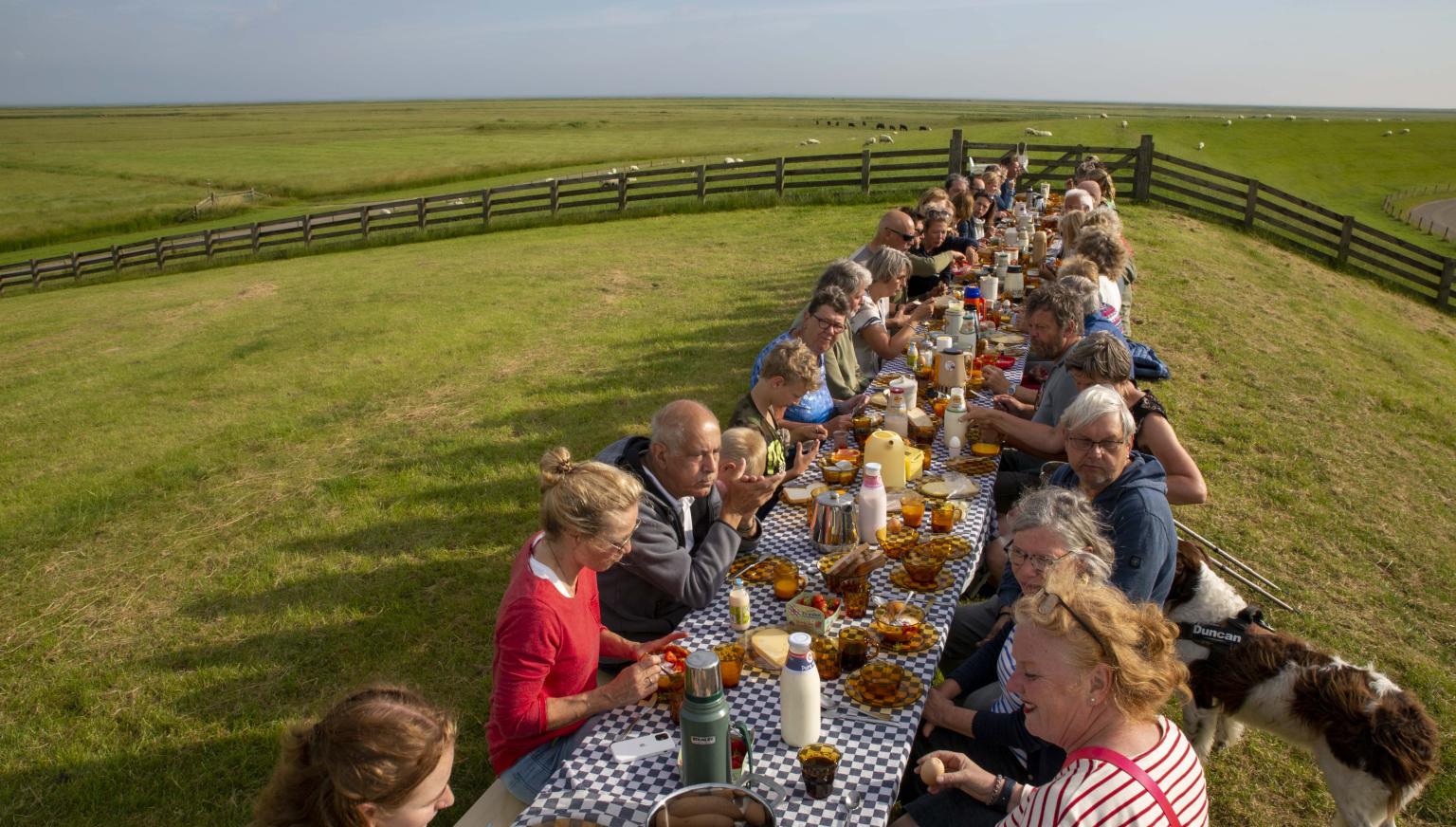 Day of the Wad - VVV Ameland