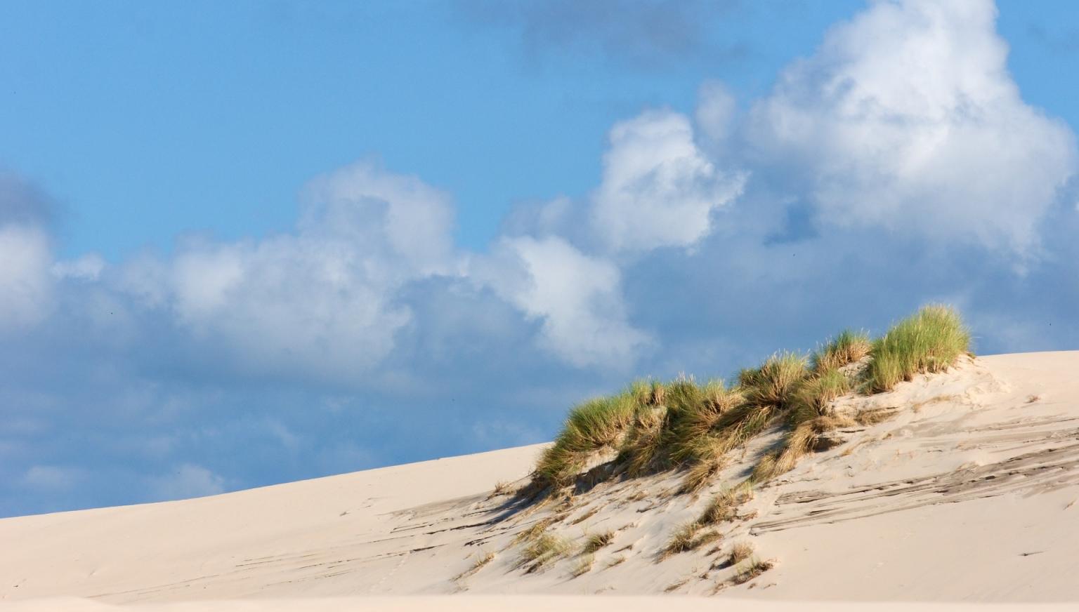 Spring on Ameland: your ultimate spring outing - VVV Ameland