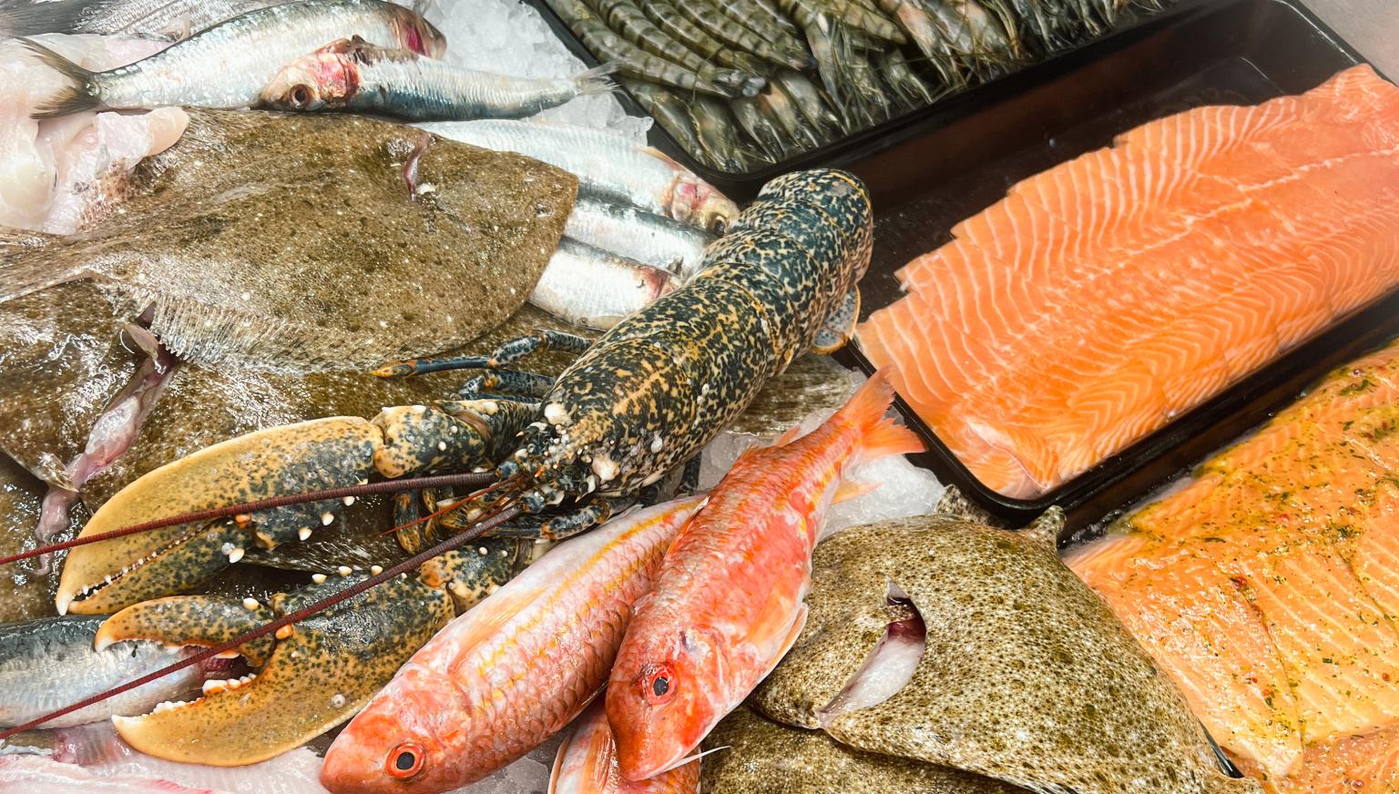 Fish shop Metz Hollum - Tourist Information 
