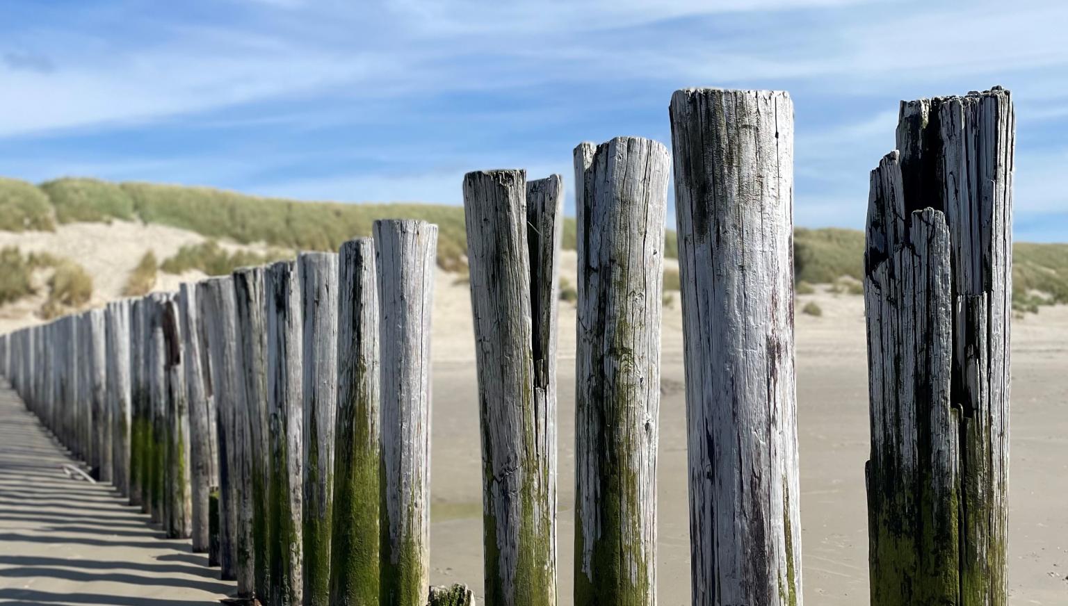 Last-minutes on/to Ameland - VVV Ameland