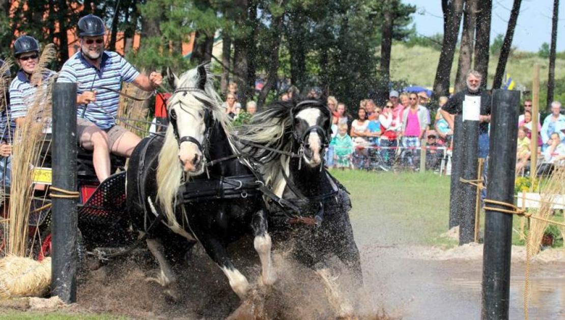 Horse marathon - Tourist Information 