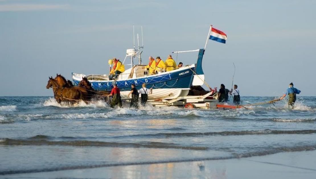 Demonstration horse drawn rescue boat - tourist information 