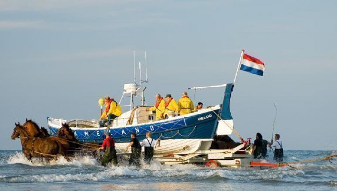 Demonstration horse-driven lifeboat - Tourist Information 