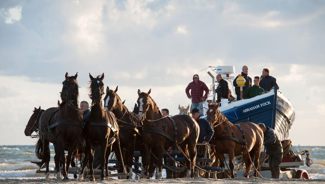 Demonstration horse-driven lifeboat - Tourist Information 